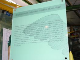 Sandstrahlen auf Glas – schlichte und elegante Gestaltungsmöglichkeiten