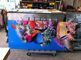 Foto-Verbundglas – Inkjetdruck macht`s möglich